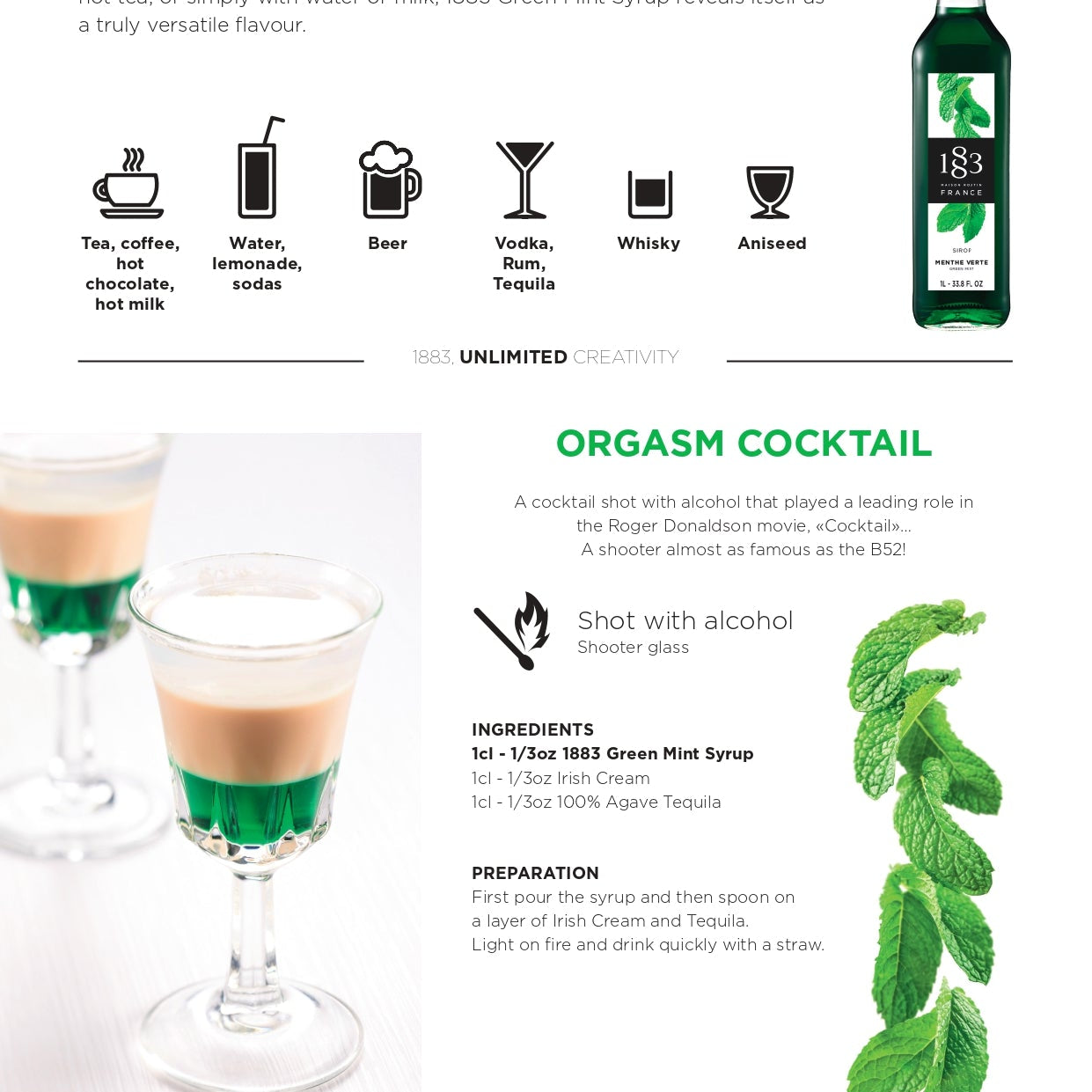 1883 Maison Routin Green Mint Syrup Recipe