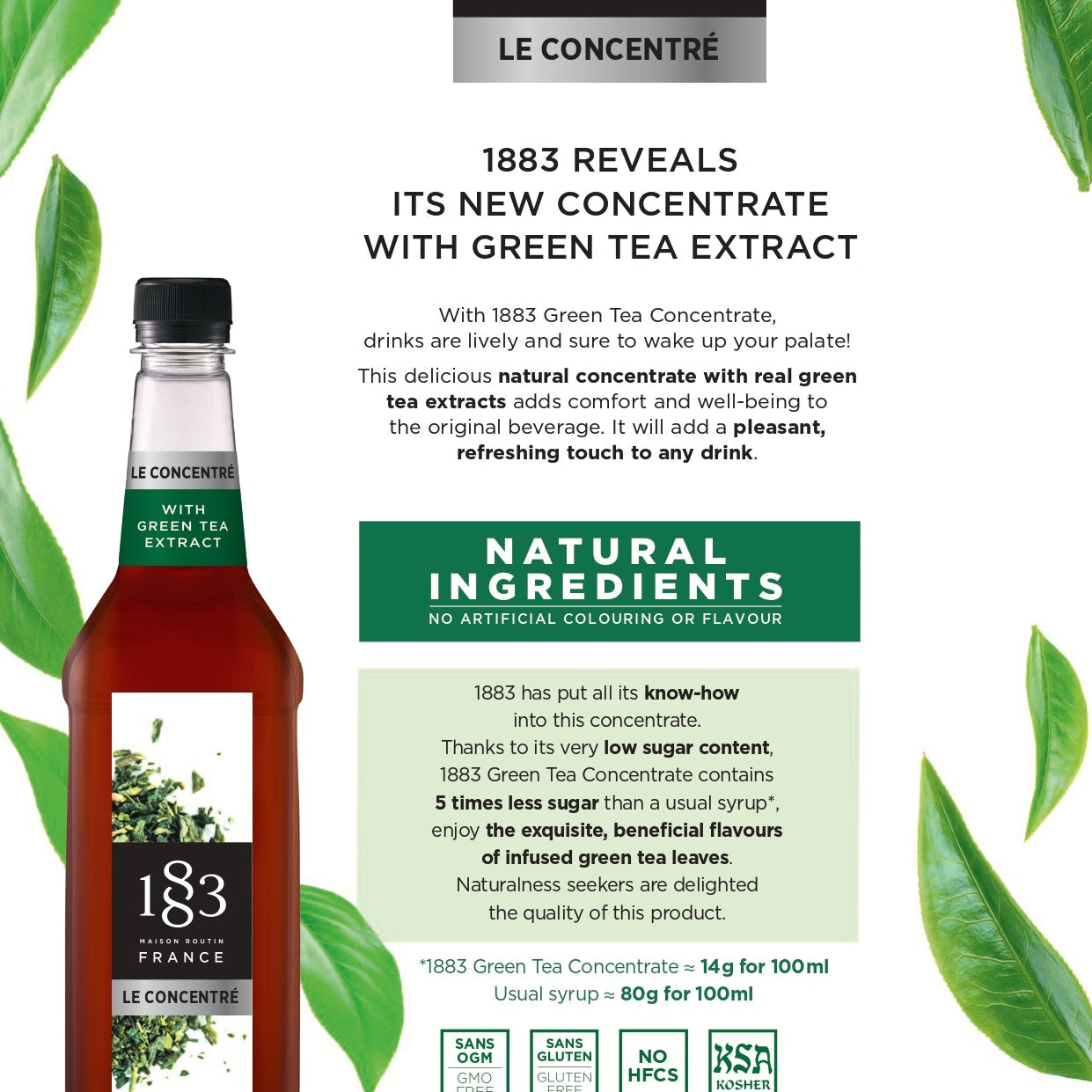 1883 Maison Routin Green Tea Concentrate Ingredients