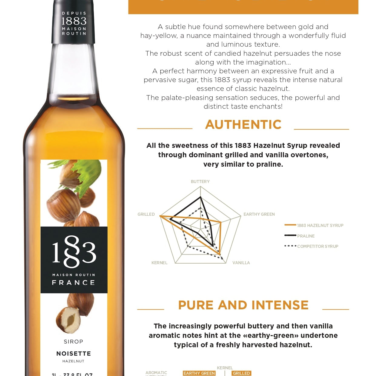 1883 Maison Routin Hazelnut Syrup Specification