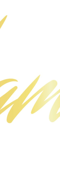 William Fox Syrups Logo